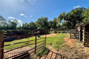 1036 Broom Rd, Bonifay, FL 32425 - Photo 30