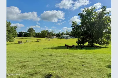 1036 Broom Road, Bonifay, FL 32425 - Photo 34