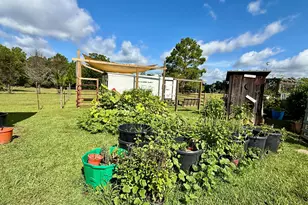 1036 Broom Rd, Bonifay, FL 32425 - Photo 24
