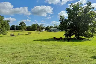 1036 Broom Rd, Bonifay, FL 32425 - Photo 34
