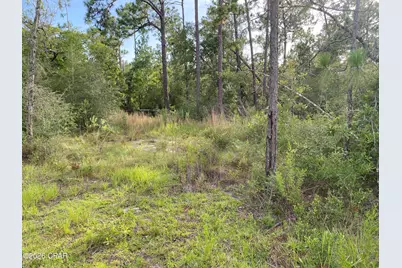 Lot 30 Putnam Avenue, Alford, FL 32420 - Photo 10