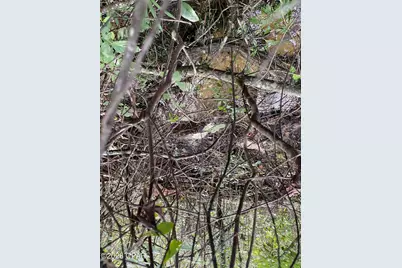 Lot 30 Putnam Avenue, Alford, FL 32420 - Photo 6