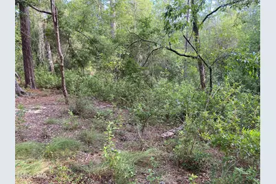 Lot 30 Putnam Avenue, Alford, FL 32420 - Photo 2