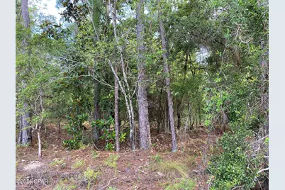 Lot 30 Putnam Avenue, Alford, FL 32420 - Photo 4