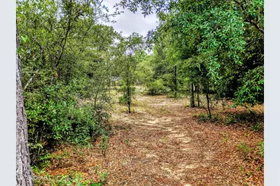 Lot 8 Shenandoah Boulevard, Chipley, FL 32428 - Photo 2