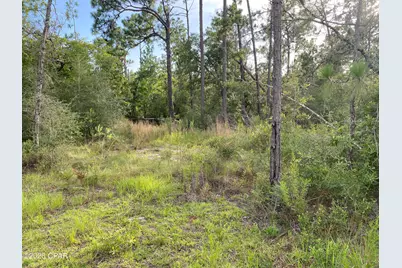 Lot 31 Putnam Avenue, Alford, FL 32420 - Photo 6