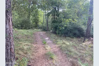 Lot 31 Putnam Avenue, Alford, FL 32420 - Photo 4