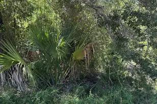 17 W Flower Ave, Panama City, FL 32405 - Photo 1