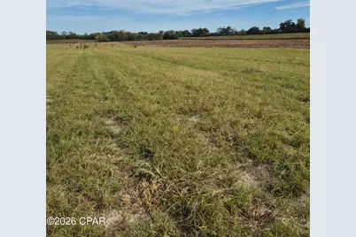 4710 Highway 71, Greenwood, FL 32443 - Photo 6