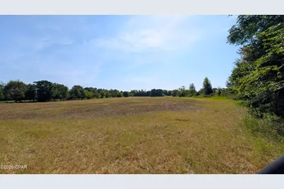 4710 Highway 71, Greenwood, FL 32443 - Photo 8