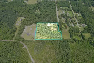 19920 Shawn Rd, Hosford, FL 32334 - Photo 44