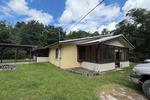 19920 Shawn Rd, Hosford, FL 32334 - Photo 2