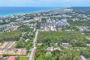 115 W Walton Palm Rd, Inlet Beach, FL 32461 - Photo 44