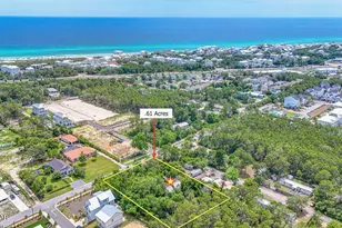 115 W Walton Palm Rd, Inlet Beach, FL 32461 - Photo 22