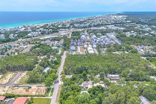 115 W Walton Palm Rd, Inlet Beach, FL 32461 - Photo 42