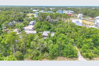 115 W Walton Palm Road, Inlet Beach, FL 32461 - Photo 52
