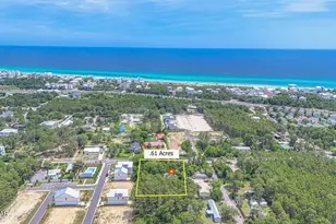 115 W Walton Palm Rd, Inlet Beach, FL 32461 - Photo 2