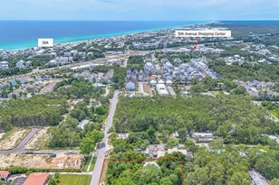 115 W Walton Palm Rd, Inlet Beach, FL 32461 - Photo 12