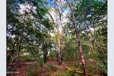 Lot 59 Preston Circle, Chipley, FL 32428 - Photo 4