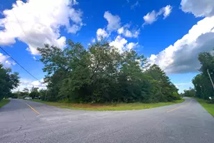 Lot 59 Preston Circle, Chipley, FL 32428 - Photo 1