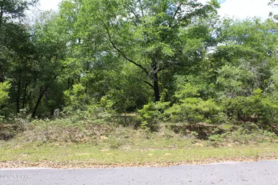 Lot 17 Arnone Lane, Chipley, FL 32428 - Photo 2