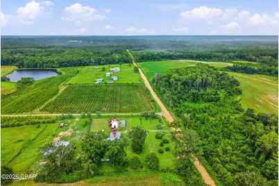 2919 T J Mitchell Road, Bonifay, FL 32425 - Photo 42