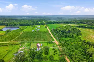 2919 T J Mitchell Rd, Bonifay, FL 32425 - Photo 42