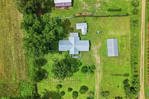 2919 T J Mitchell Rd, Bonifay, FL 32425 - Photo 36