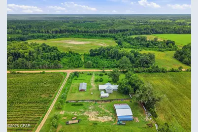 2919 T J Mitchell Road, Bonifay, FL 32425 - Photo 40