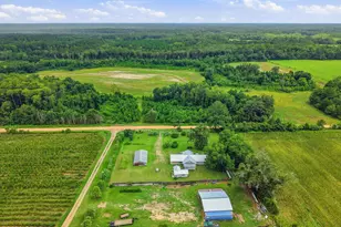 2919 T J Mitchell Rd, Bonifay, FL 32425 - Photo 40