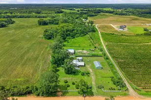 2919 T J Mitchell Rd, Bonifay, FL 32425 - Photo 38