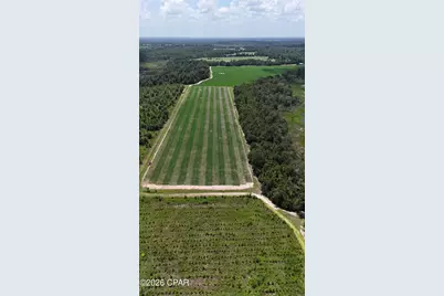 0 Longpond Road, Grand Ridge, FL 32442 - Photo 12