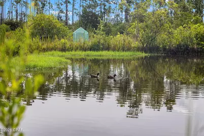 11214 Stone Road, Panama City, FL 32404 - Photo 50