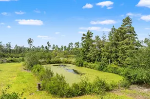 11214 Stone Rd, Panama City, FL 32404 - Photo 8