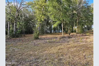 4337 Leisure Lakes Drive, Chipley, FL 32428 - Photo 6