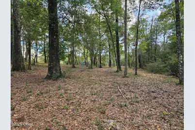 4337 Leisure Lakes Drive, Chipley, FL 32428 - Photo 4