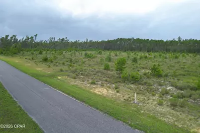 Tbd NW Telogia Creek Drive, Bristol, FL 32321 - Photo 8