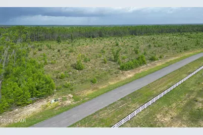 Tbd NW Telogia Creek Drive, Bristol, FL 32321 - Photo 2