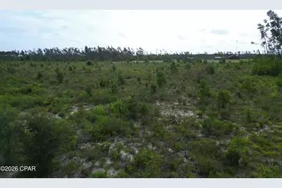 Tbd NW Telogia Creek Drive, Bristol, FL 32321 - Photo 6