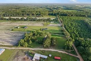 4080 Smokey Rd, Cottondale, FL 32431 - Photo 26