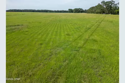 0 County Road 160 #Parcel 4, Bonifay, FL 32425 - Photo 8