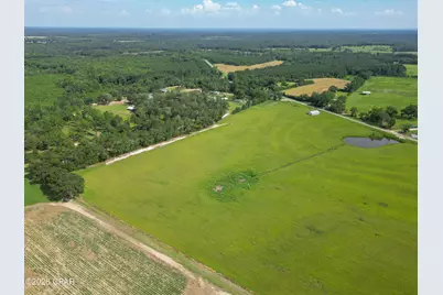 0 County Road 160 #Parcel 4, Bonifay, FL 32425 - Photo 6
