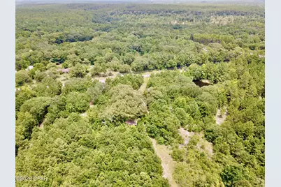 3904 River Road, Vernon, FL 32462 - Photo 10