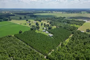 4268 Rogers Rd, Greenwood, FL 32443 - Photo 62