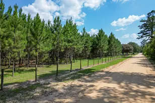 4268 Rogers Rd, Greenwood, FL 32443 - Photo 74