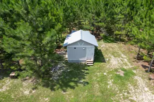 4268 Rogers Rd, Greenwood, FL 32443 - Photo 70