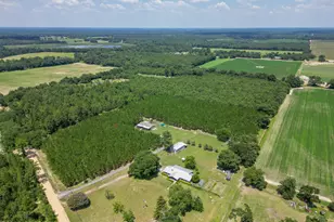 4268 Rogers Rd, Greenwood, FL 32443 - Photo 64