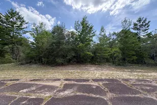 Lot 2 Confetti Pl, Chipley, FL 32428 - Photo 1