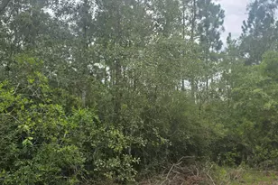 10320 River Alley Rd, Youngstown, FL 32466 - Photo 1