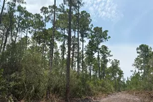 22563 NW Lake McKenzie Blvd, Altha, FL 32421 - Photo 1